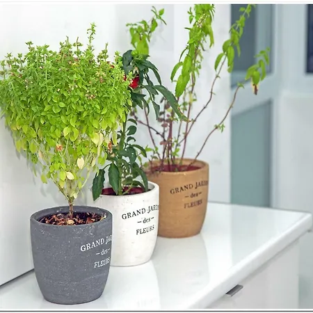 Skyview Old Town Апартаменты