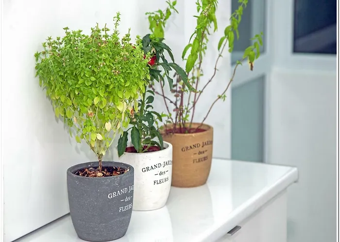 Skyview Old Town Lejlighed